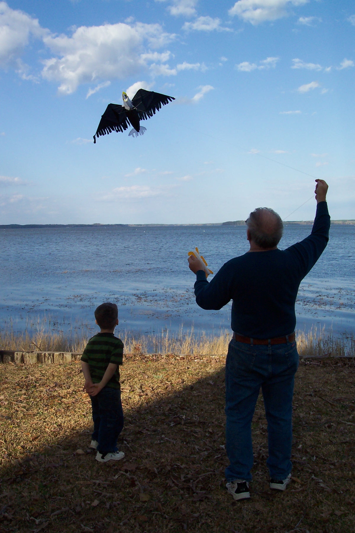 A boy flying a kite with his grandfather at the lake
