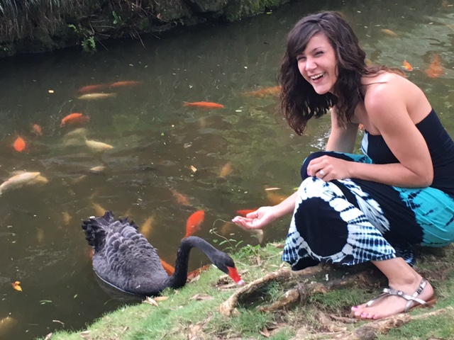There are also peacocks and many many cats.