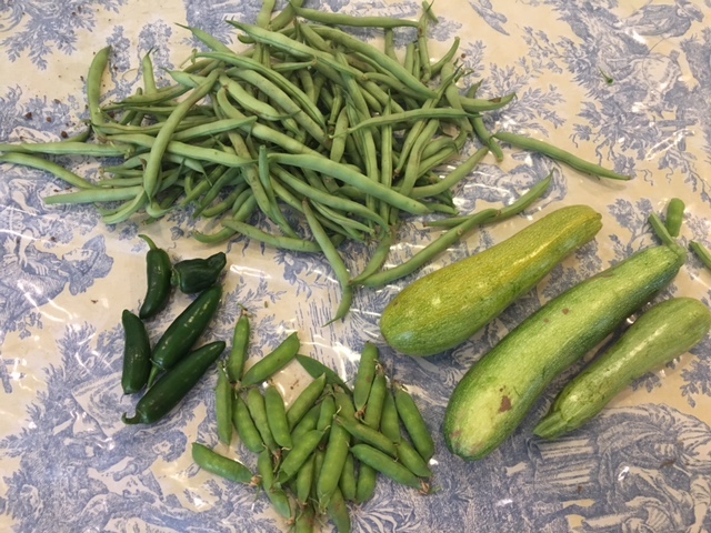 freshly picked green beans, peas, peppers and zucchini