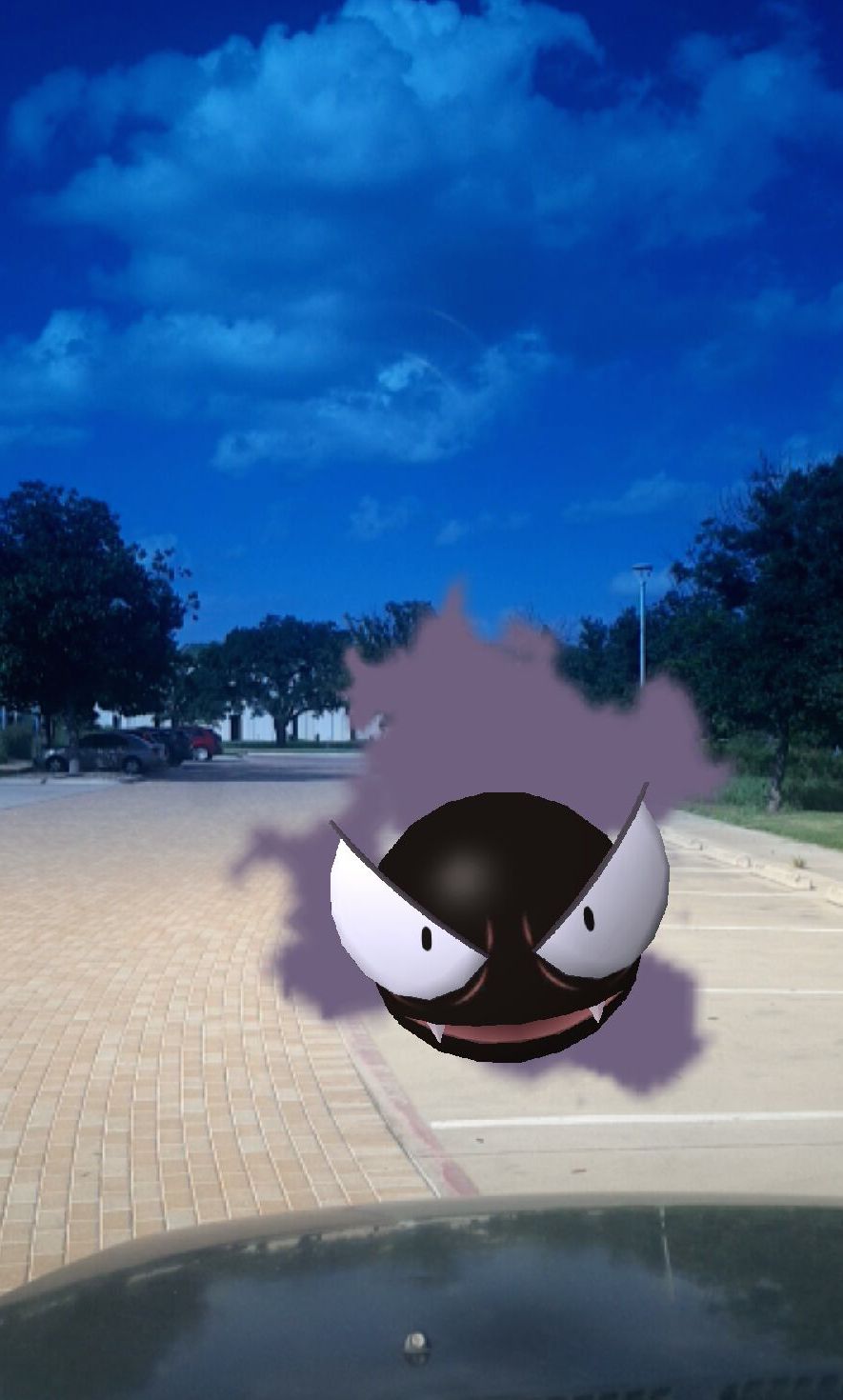 Some pokemon are cute, but a gastly is a little frightening.