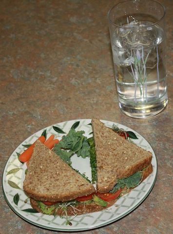 avocado sandwich with sprouts tomatoes and kale, add a glass of cold water for a nutritious lunch