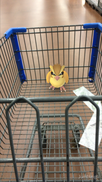 A Pidgie in the shopping cart is a lot of fun.