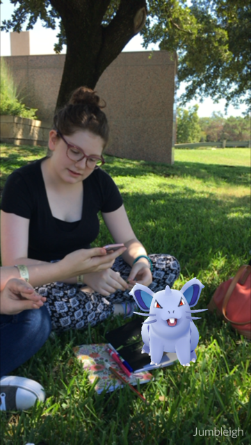 A picnic with pokemon can be fun--especially if you brought some pokeballs.
